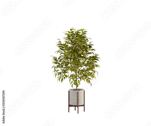 tree on white background