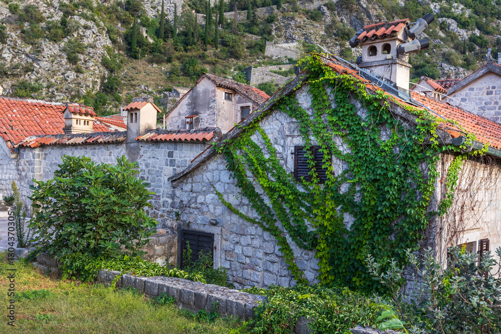Fototapeta premium Kotor, Montenegro old town houses