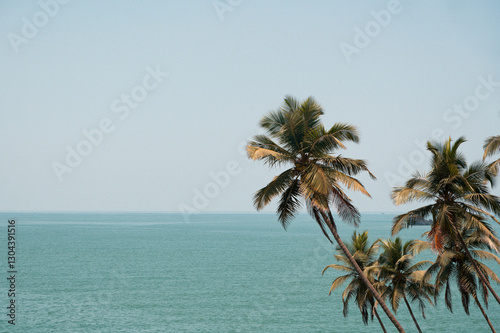 Fototapeta Naklejka Na Ścianę i Meble -  Maldives palm trees looking over the sea and clear blue sky
