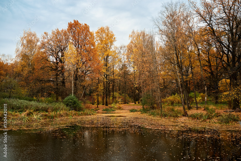 The shore of a forest pond in late autumn. Lots of fallen leaves. The shore of a forest pond in late autumn. Lots of fallen leaves.