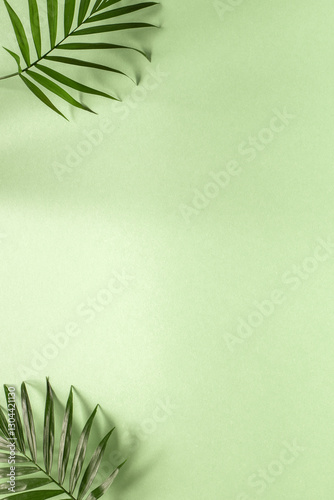 Minimal abstract background with a shadow of tropical palm leaves on a green background.