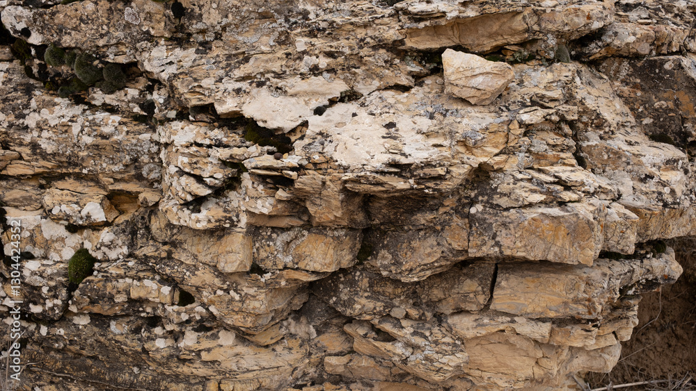 rock texture with close up shoot rock texture with close up shoot