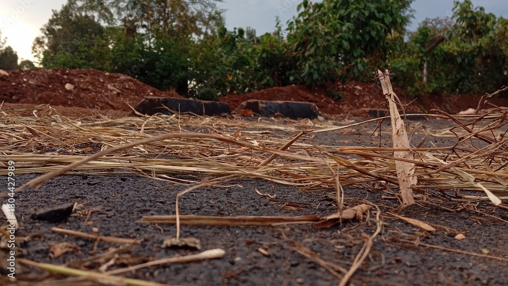 Obraz premium art on the ground 