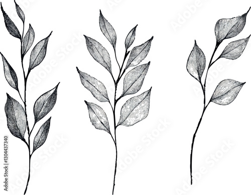 Set of hand-drawn botanical branches with leaves in black and white. Perfect for invitations, branding, patterns, packaging, and minimalistic design projects