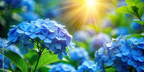 Fototapeta Naklejka Na Ścianę i Meble -  Vibrant blue flowers in full bloom against a bright green leafy background with sunlight filtering through the leaves, garden, vibrant colors