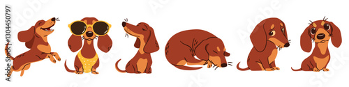 A set of flat vector illustrations in a simple children's style. Cute dachshunds in different poses. Happy dogs sleeping and playing. Vector illustration