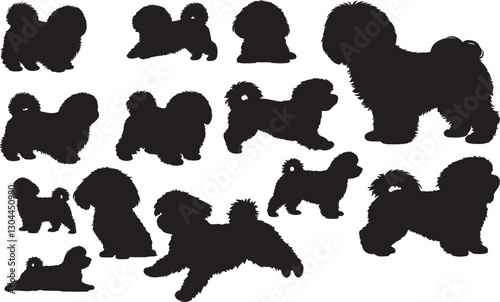 Maltese Silhouette
