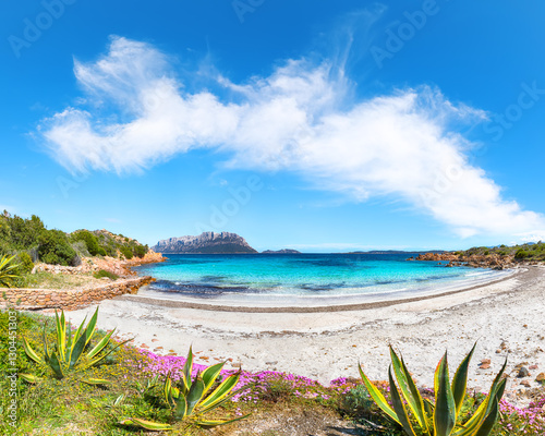 Obraz na płótnie Superb azure water with rocks and lots of flowers at Doctors beach (Spiaggia del Dottore) near Porto Istana. w salonie