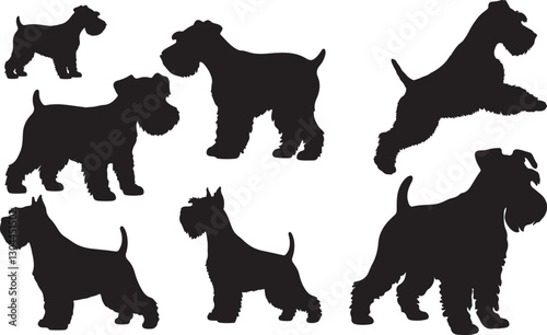 Miniature Schnauzer Silhouette