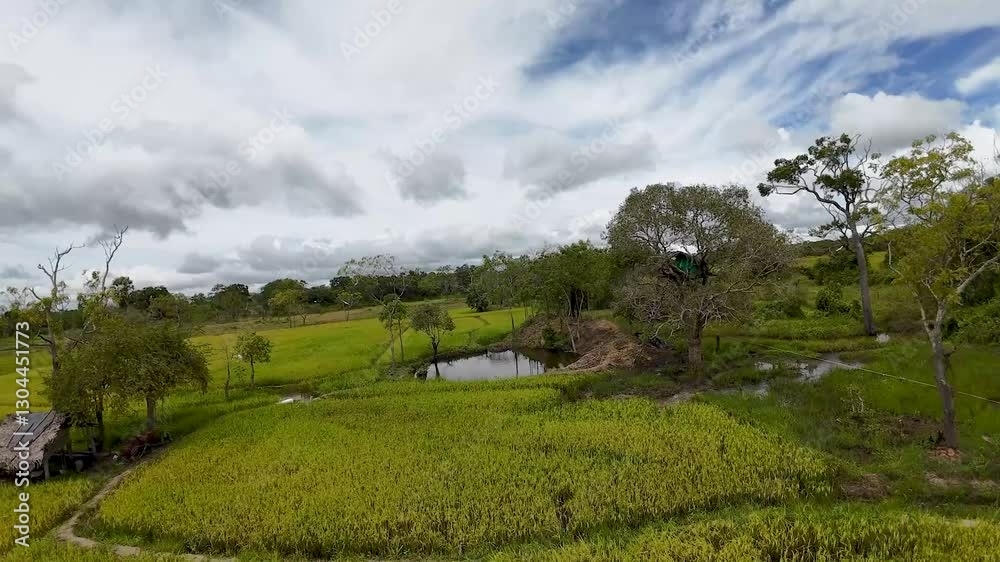 Scenic Drone Shot of Traditional Sri Lankan Farmland Scenic Drone Shot of Traditional Sri Lankan Farmland