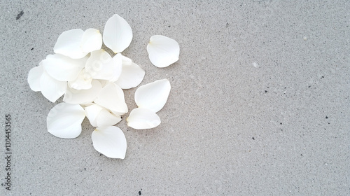 Petals Dance on the Pavemen...