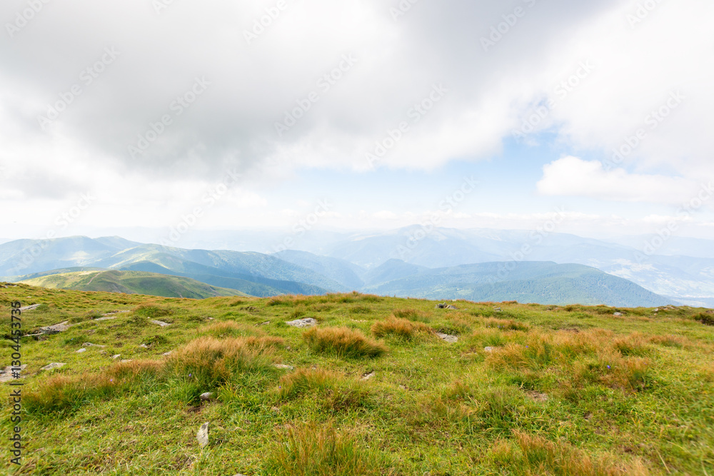 nature landscape with alpine grassy meadow of mnt. petros in dappled light. carpathian mountain scenery of ukraine in summer. popular travel destination of transcarpathia. chornohora ridge
