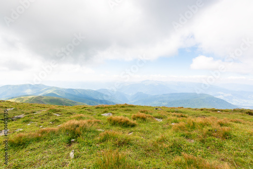 Obraz na płótnie nature landscape with alpine grassy meadow of mnt. petros in dappled light. carpathian mountain scenery of ukraine in summer. popular travel destination of transcarpathia. chornohora ridge w salonie