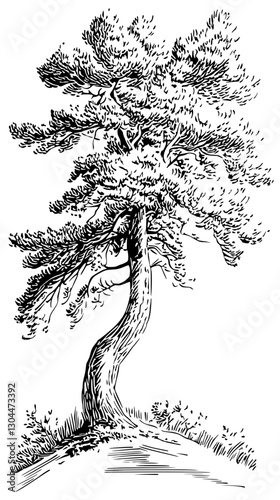 Elegant linocut illustration of a twisting tree against a transparent background