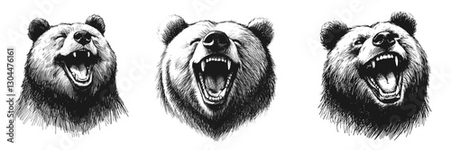 Bear laugh line art drawing ink sketch vector hand drawn illustration background the secret world of animal laughter