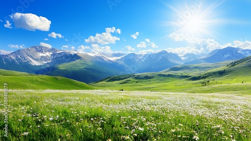 Bright Sunny Day in Alpine Meadow with Blooming White Flowers and Majestic Mountain Range