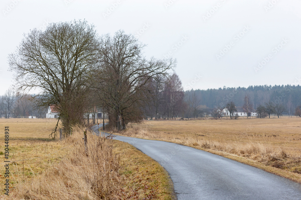 Countryside road on a foggy day in early spring