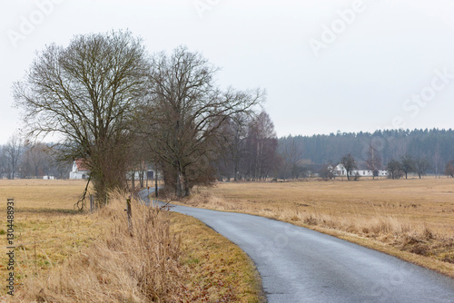 Obraz na płótnie Countryside road on a foggy day in early spring w salonie