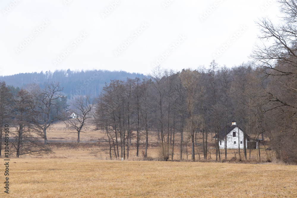 Rural house on a foggy day in early spring