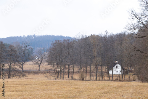 Rural house on a foggy day in early spring
