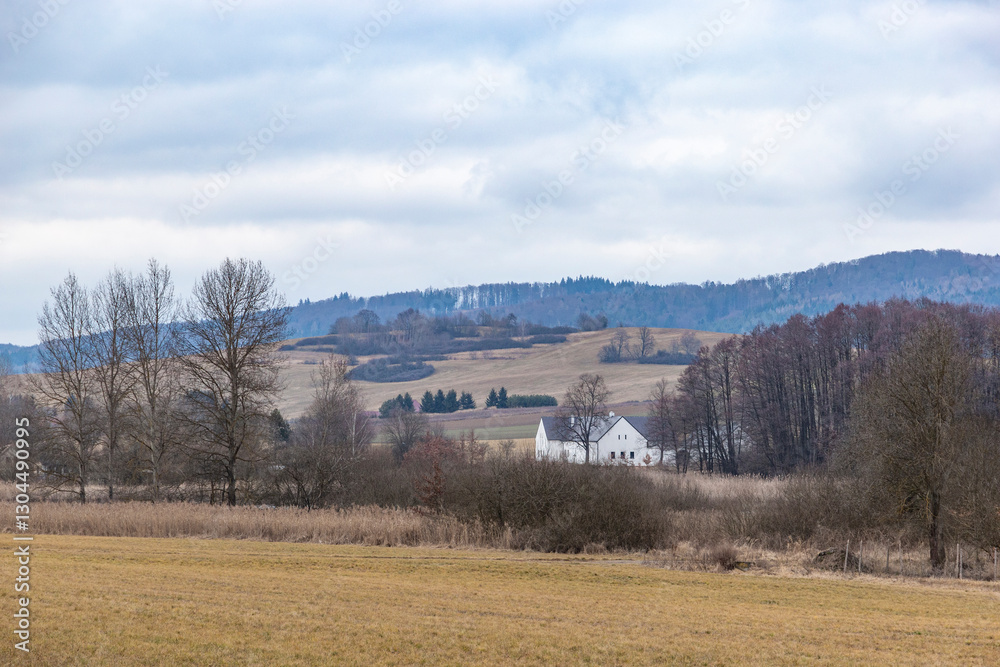 Rural house on a foggy day in early spring