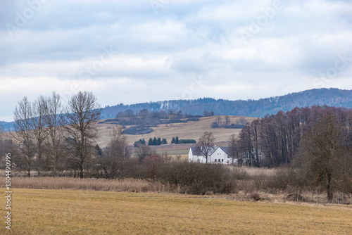 Obraz na płótnie Rural house on a foggy day in early spring w salonie