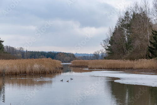 Obraz na płótnie Forest lake on a foggy day in early spring w salonie