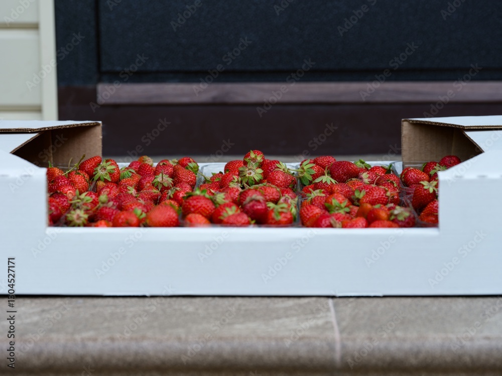 Close-up shot of a cardboard box full of fresh organic strawberries delivered to the house front door
