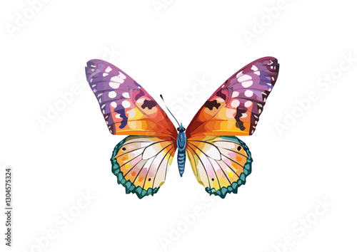 colorful butterflies individually or as a frame, spring awakening with butterflies