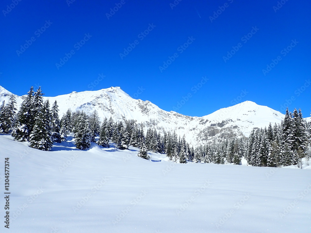 Fototapeta premium skitouring destination rauris valley in winter