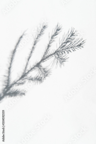 Wallpaper Mural Soft, blurred shadow of fir branch is cast on light background Torontodigital.ca
