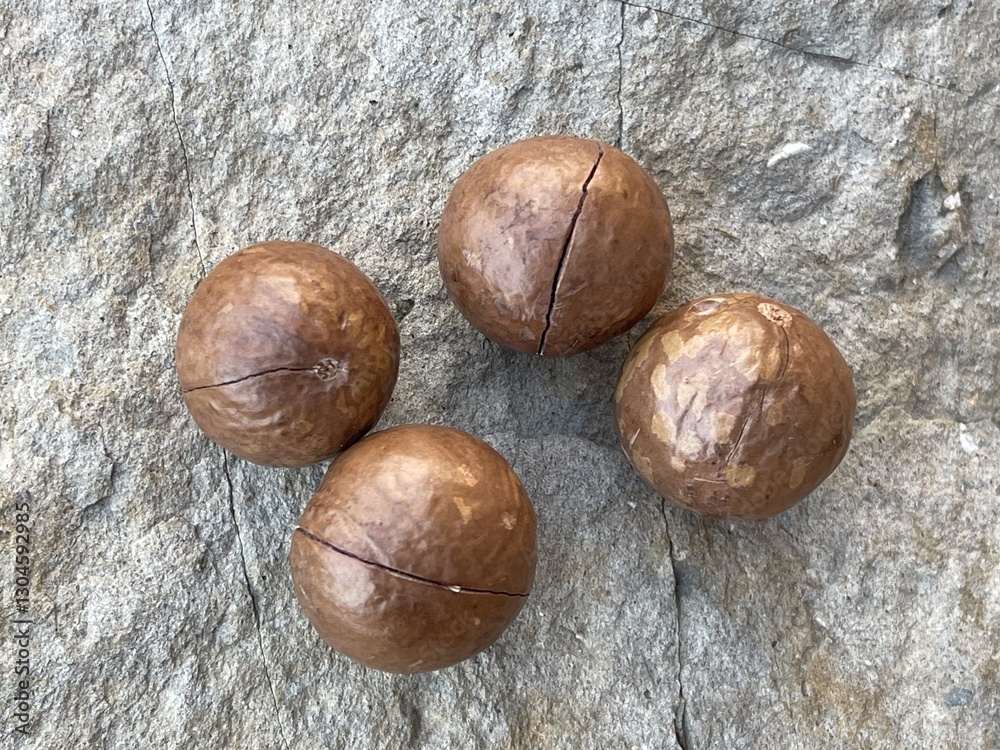 Obraz premium Four round, brown objects with a slightly textured surface, arranged closely on a natural stone background.