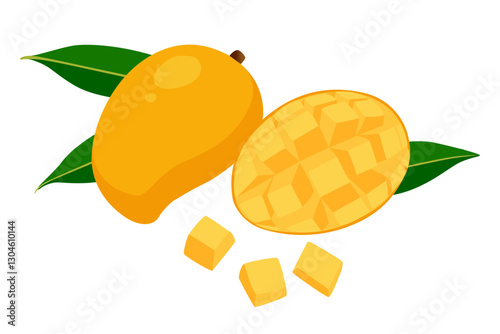  Mango tropical fruit  vector illustration.