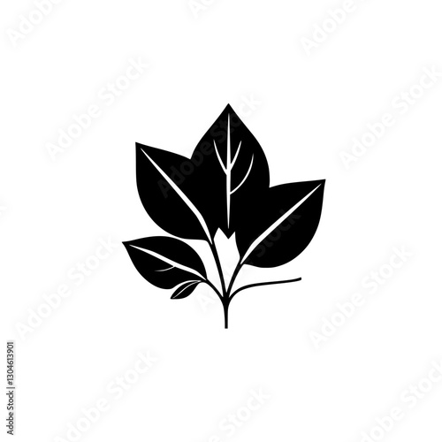 Minimalist Black & White Leaf Arrangement on White: Botanical Study of Shadows