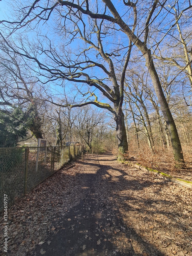 Wonderful Plänterwald Forest in Berlin Treptow - Spring Season Wonderful Plänterwald Forest in Berlin Treptow - Spring Season