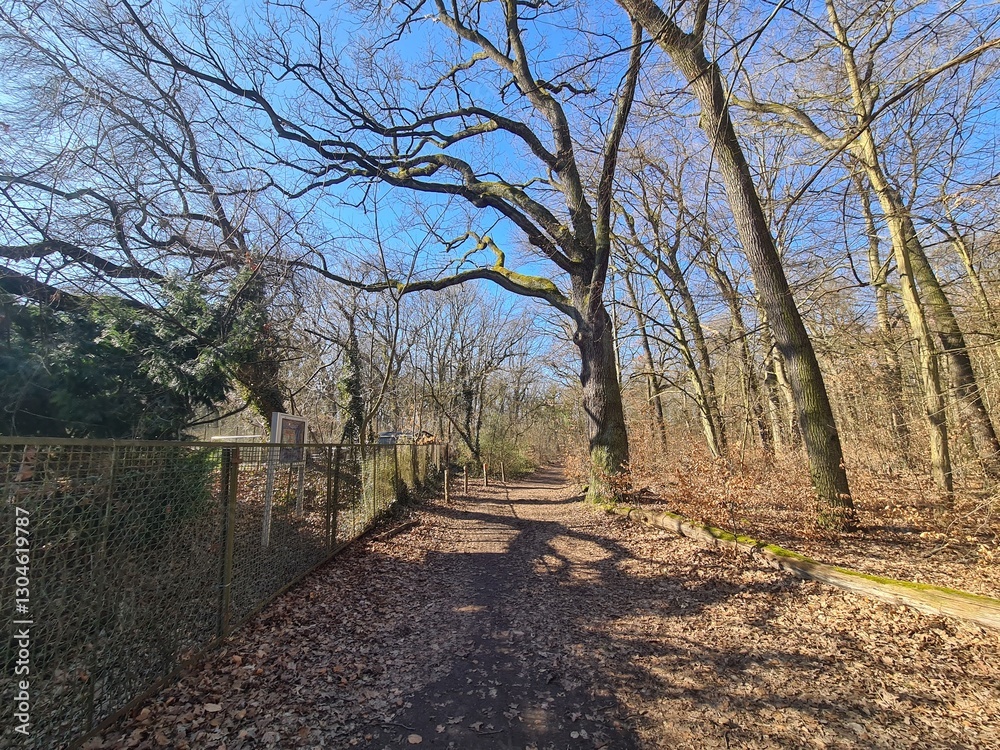 Wonderful Plänterwald Forest in Berlin Treptow - Spring Season Wonderful Plänterwald Forest in Berlin Treptow - Spring Season