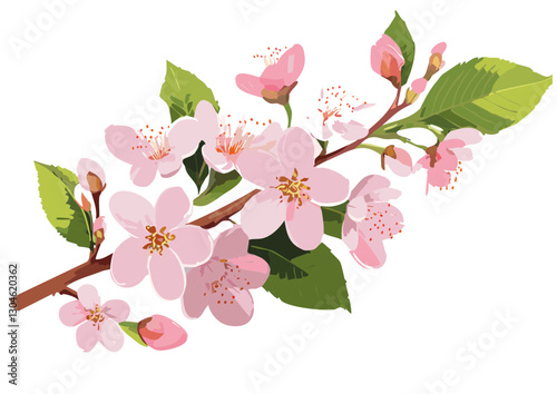 vector file of Japanese cherry blossoms in spring