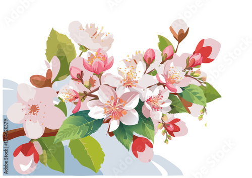 vector file of Japanese cherry blossoms in spring
