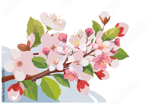 vector file of Japanese cherry blossoms in spring
