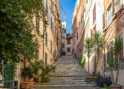 Fototapeta Naklejka Na Ścianę i Meble -  Old cozy street with stairs and plants in Rome, Italy