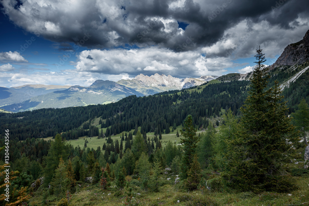 Fototapeta premium Majestic view of the Dolomites with dramatic clouds and lush greenery in the Alps of Italy during late afternoon