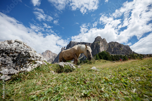Majestic horse grazing in the Dolomites surrounded by rocky peaks and vibrant greenery during a sunny day