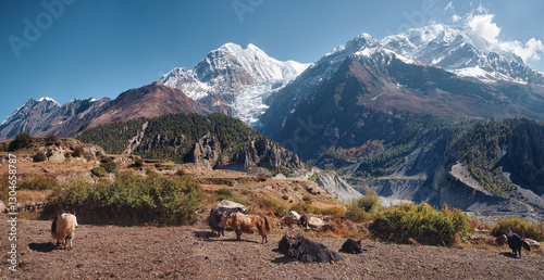 Panoramic view of snow mountains and forests of Annapurna massif in Himalayas...