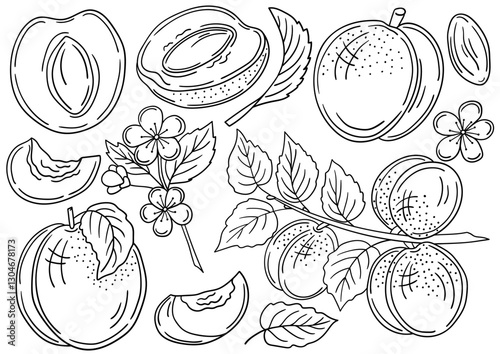 Set of color illustrations in hand draw style