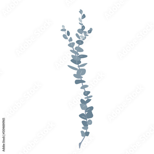 Branch of silver dollar or baby blue pulverulenta eucalyptus. Gum tree twig isolated design element. Vector cartoon illustration