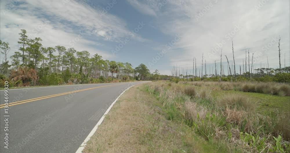 Wide static shot of swamp and road in Apalachicola Forrest in St Marks, Florida Panhandle. Clouds in and out. For projects requiring longer clips in higher resolution, visit StockPlates Wide static shot of swamp and road in Apalachicola Forrest in St Marks, Florida Panhandle. Clouds in and out. For projects requiring longer clips in higher resolution, visit StockPlates