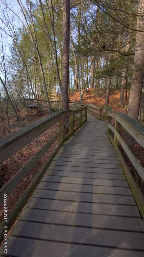 Walking through the woods on a wooden bridge during the daytime. Walking through the woods on a wooden bridge during the daytime.