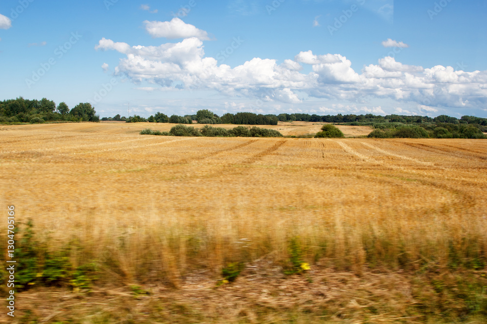 view of field from moving car. blur