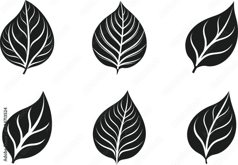 Obraz premium Set of Elegant Leaf Silhouettes - Botanical Vector Illustration