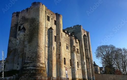 Le donjon de Niort photo